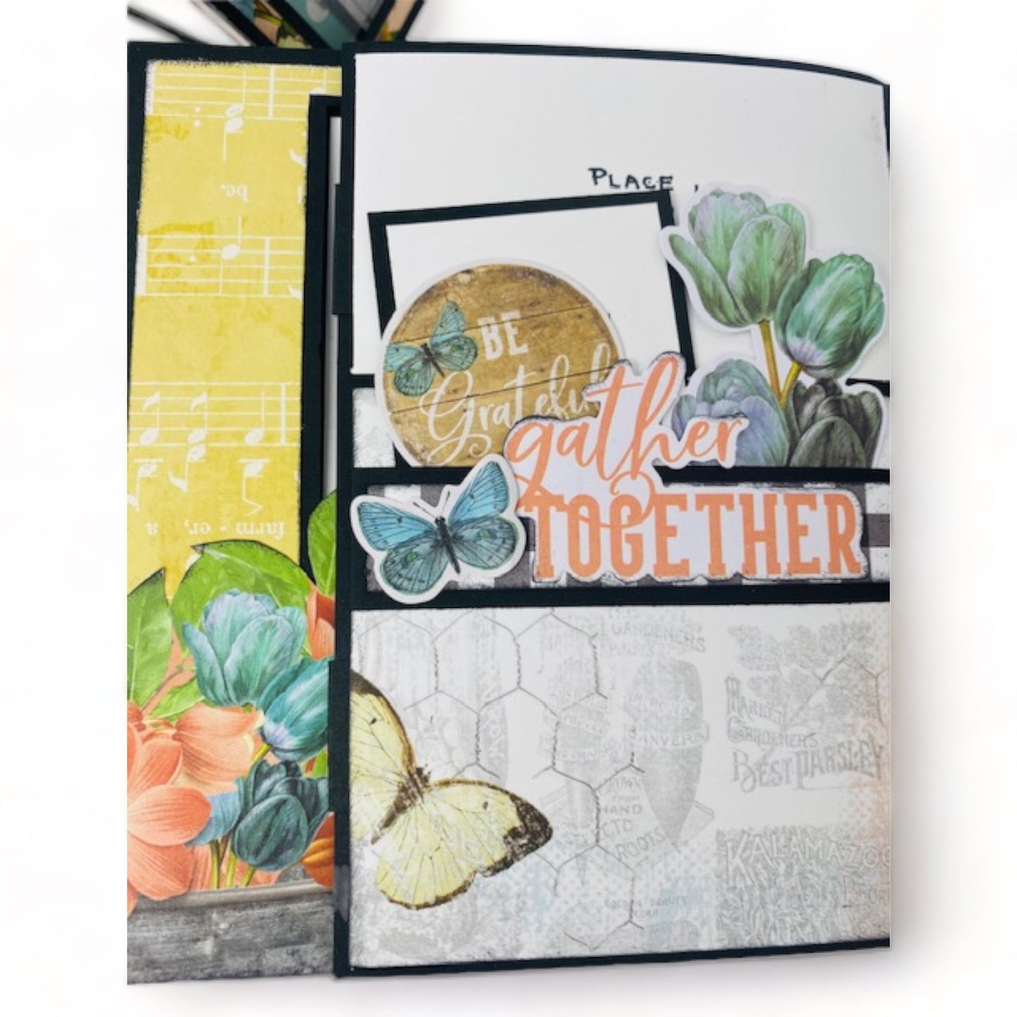 Illusions Box 1 & Album