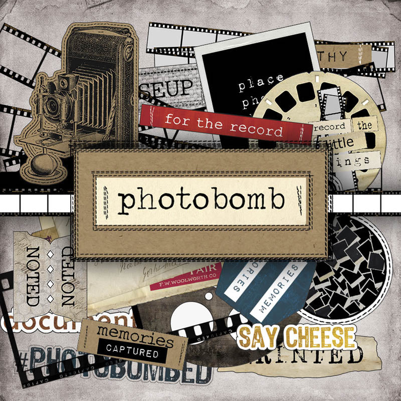 Printed Paper Collection - Photobomb