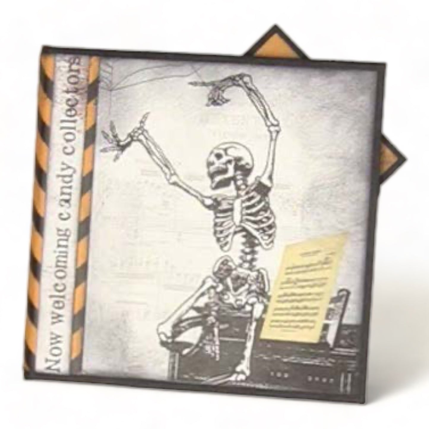 Spider Web Box & Album