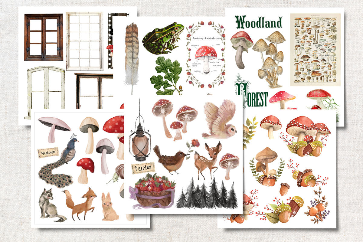 Digital Paper Collection - Fairies & Fireflies