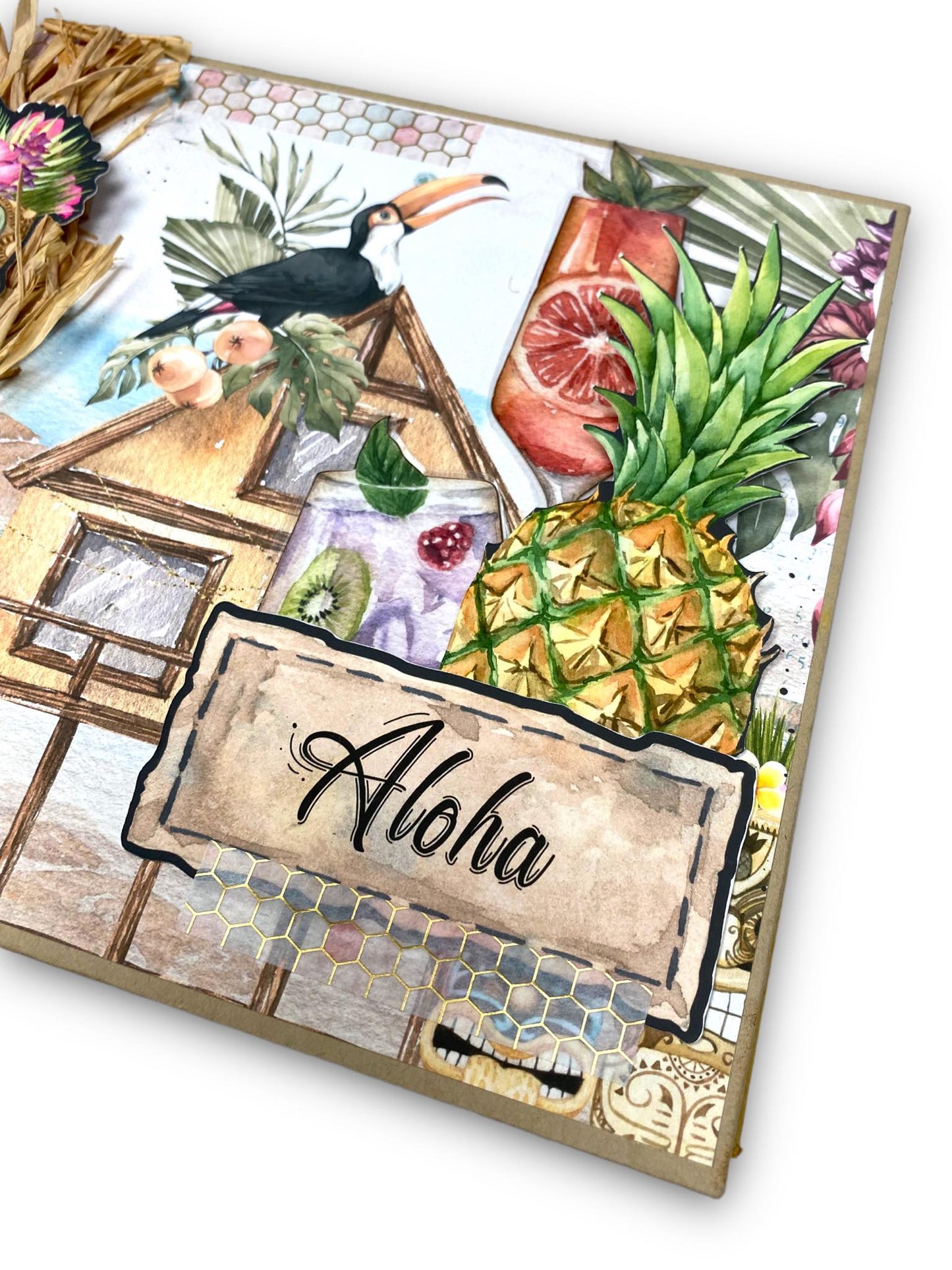 How was your Trip? Suitcase and Album