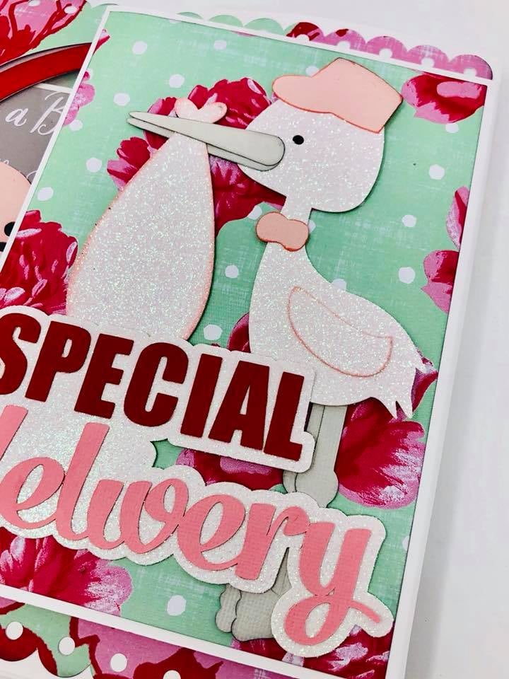 Signature Stories - Baby Album Bundle