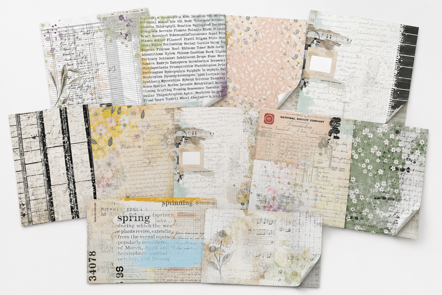 Digital Paper Collection - The Beautiful Everyday
