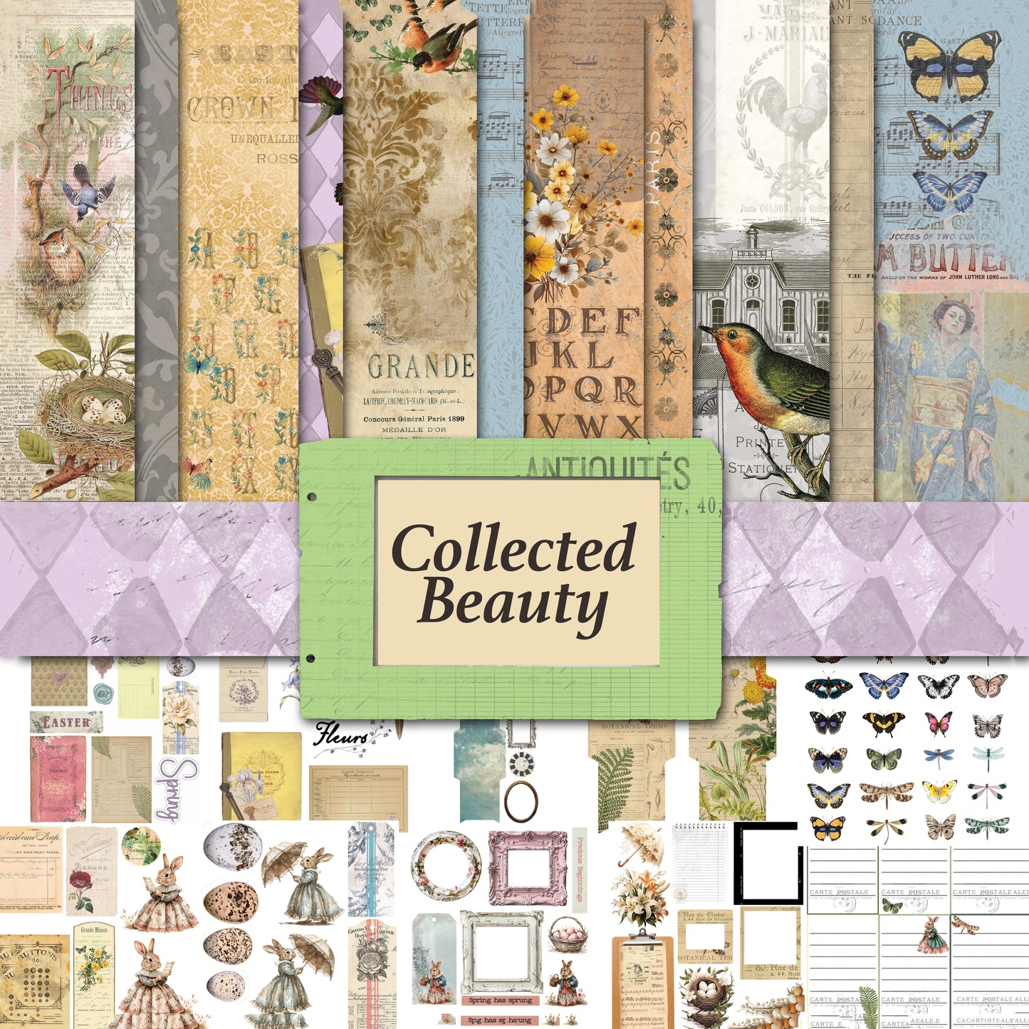 Printed Paper Collection - Collected Beauty