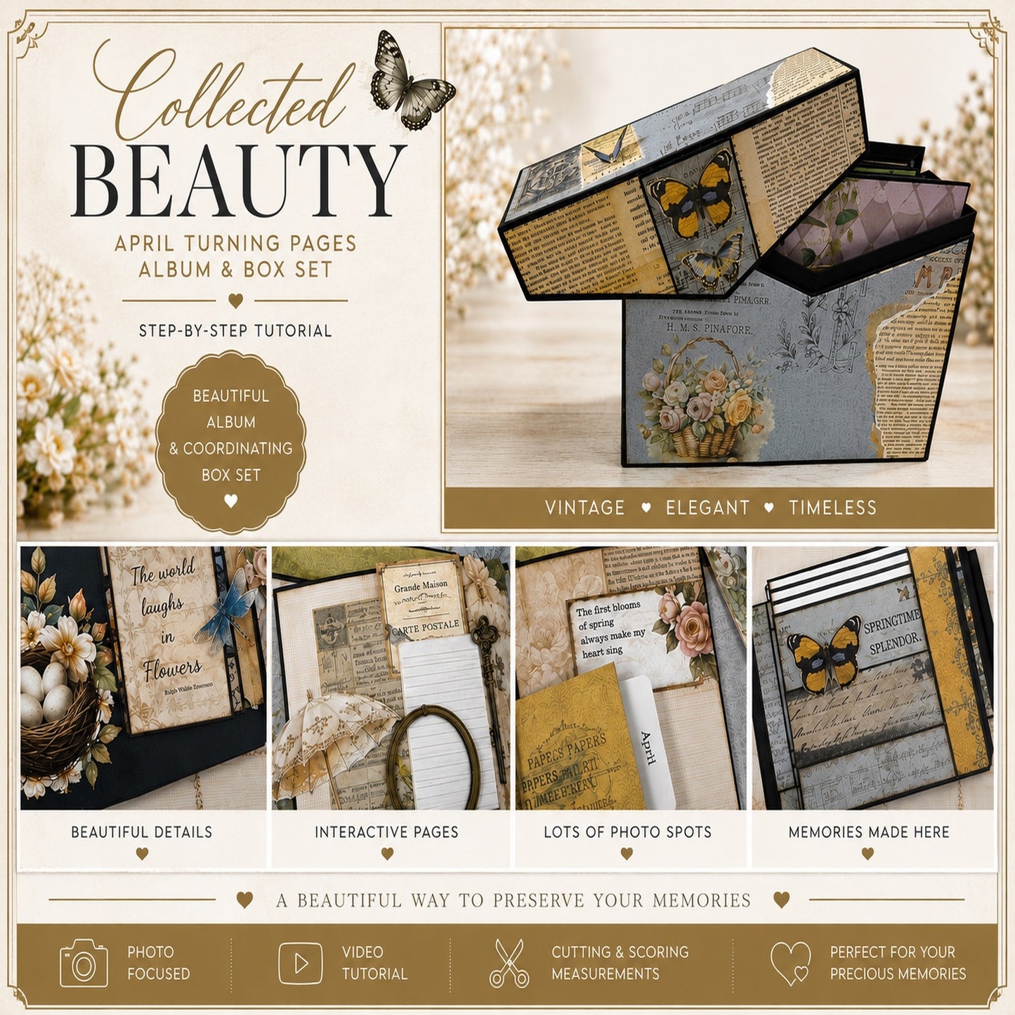 Collected Beauty Album & Box Set