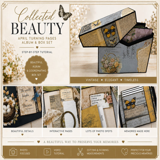 Collected Beauty Album & Box Set