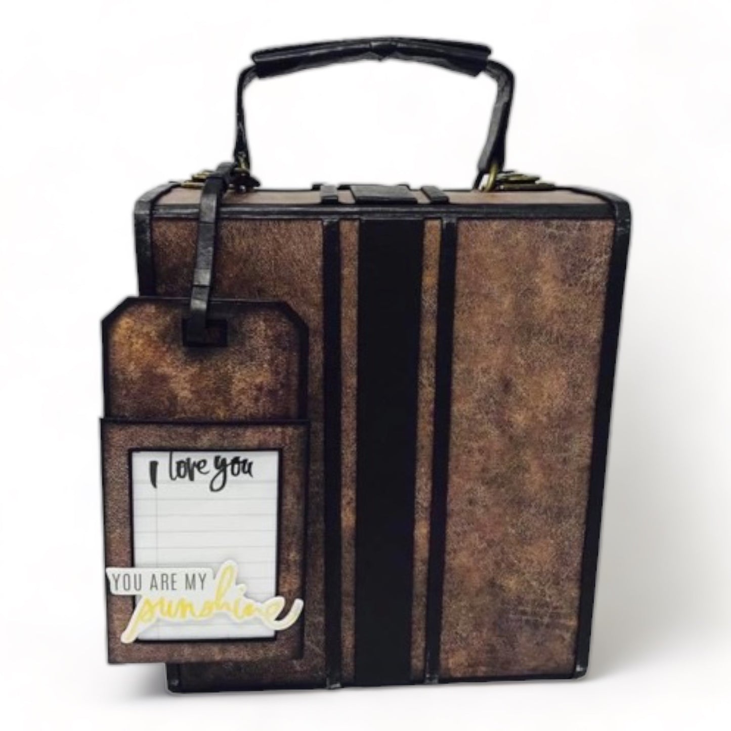 Full Disclosure Vintage Suitcase & Album