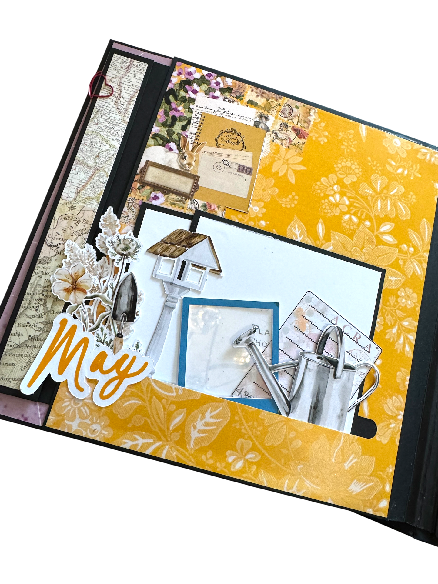 Petals & Possibilities Album & Box Set