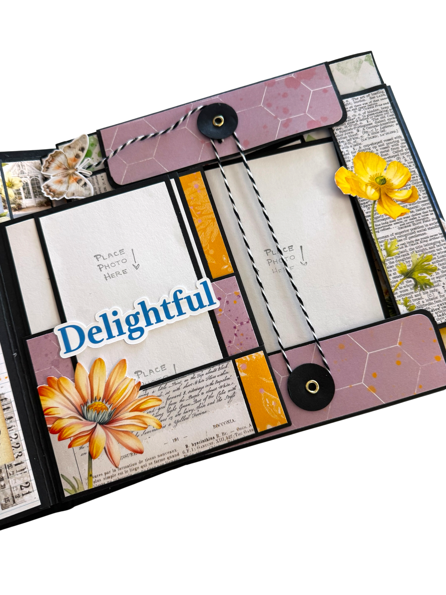 Petals & Possibilities Album & Box Set