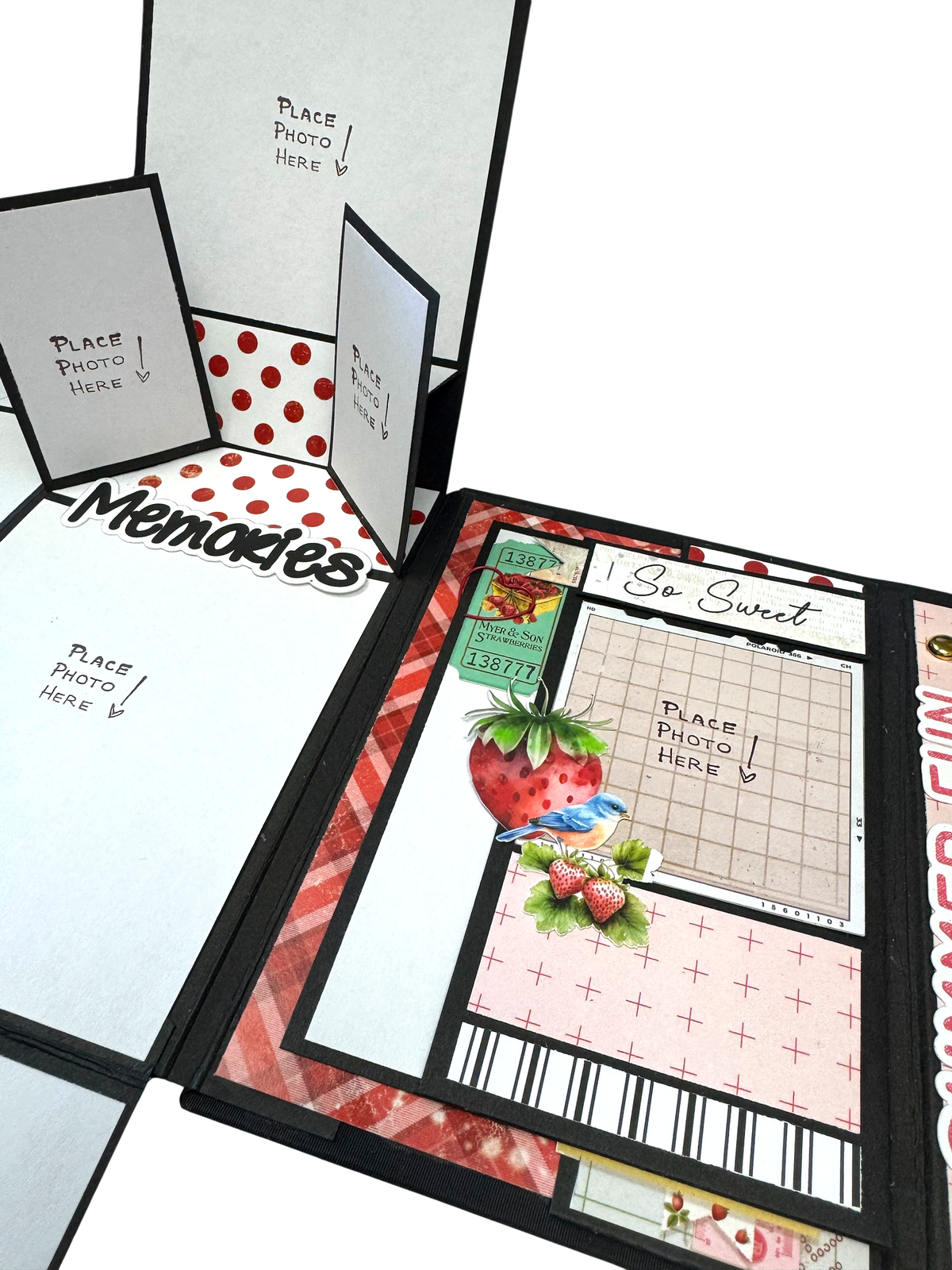 Pop-up Folio & Case Set