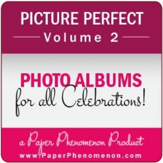 Picture Perfect Photo Album Volume 2