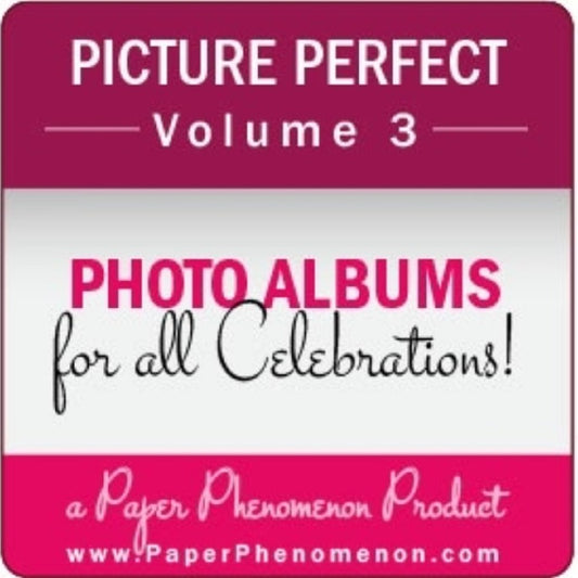 Picture Perfect Photo Album Volume 3