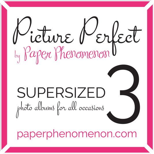 Picture Perfect Super Sized Photo Album Vol 3