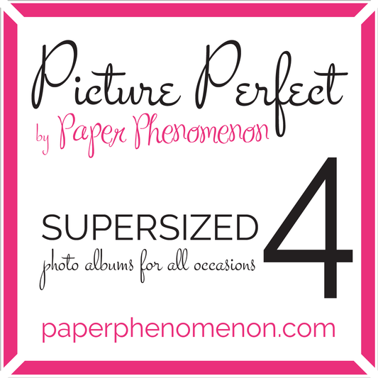 Picture Perfect Super Sized Photo Album Vol 4